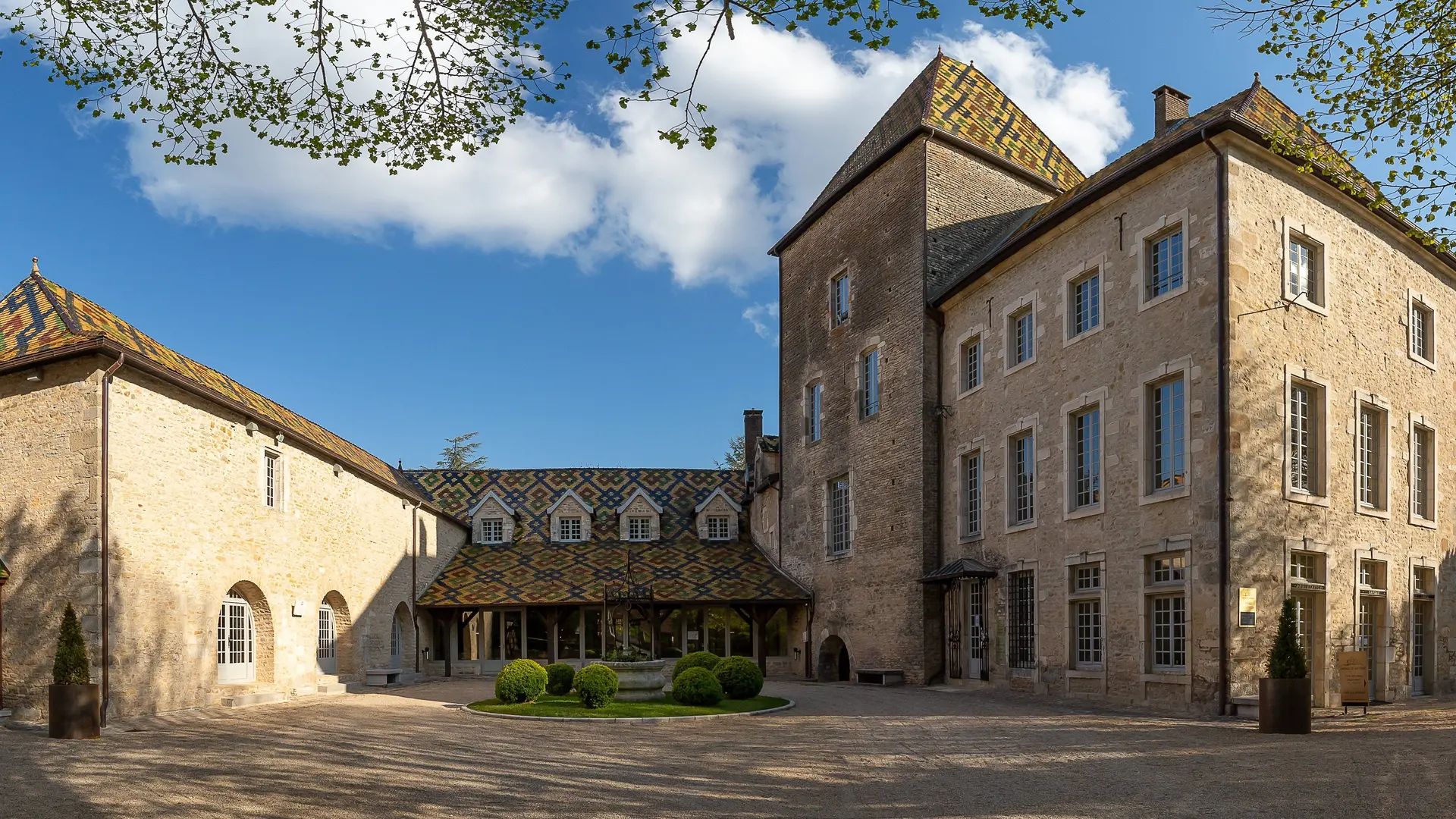 018_ETIENNE RAMOUSSE_CHATEAU DE SANTENAY_HD_2021