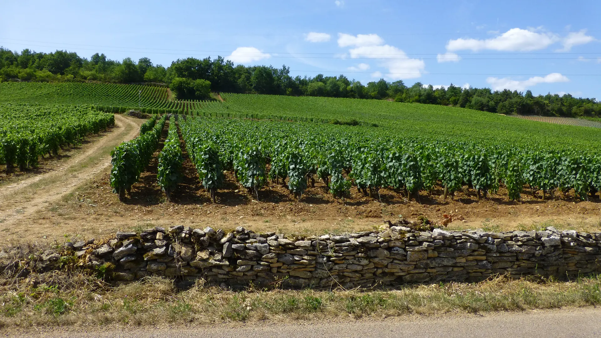 032 Domaine Chaussin