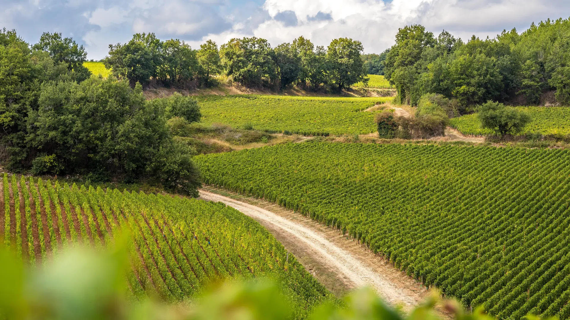 033_ETIENNE_RAMOUSSE_CHATEAU_SANTENAY_VENDANGES_2018