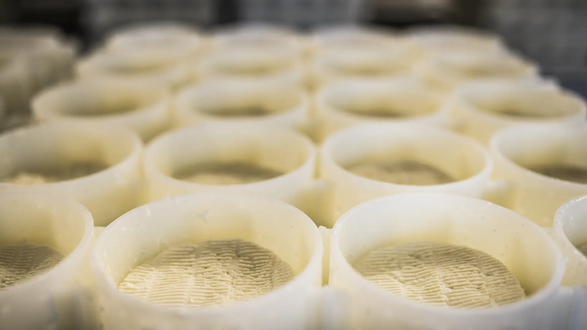 Egouttage des fromages