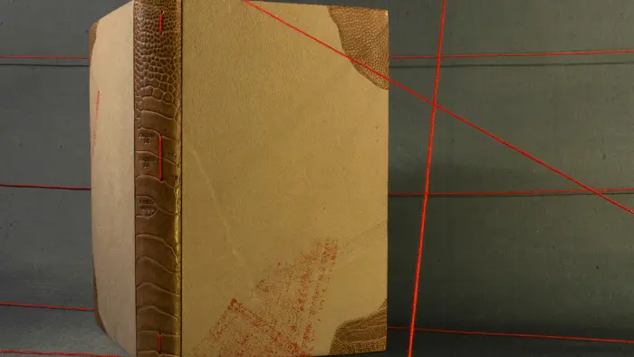 07 plats rapportés en autruche