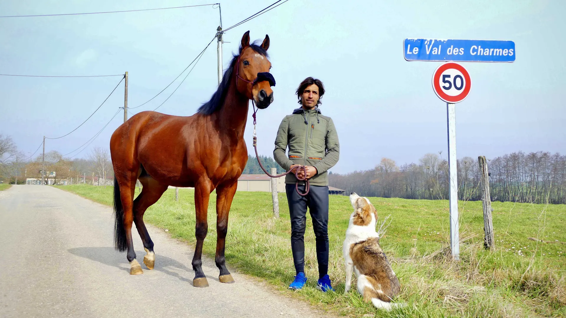 Haras du Val des Charmes