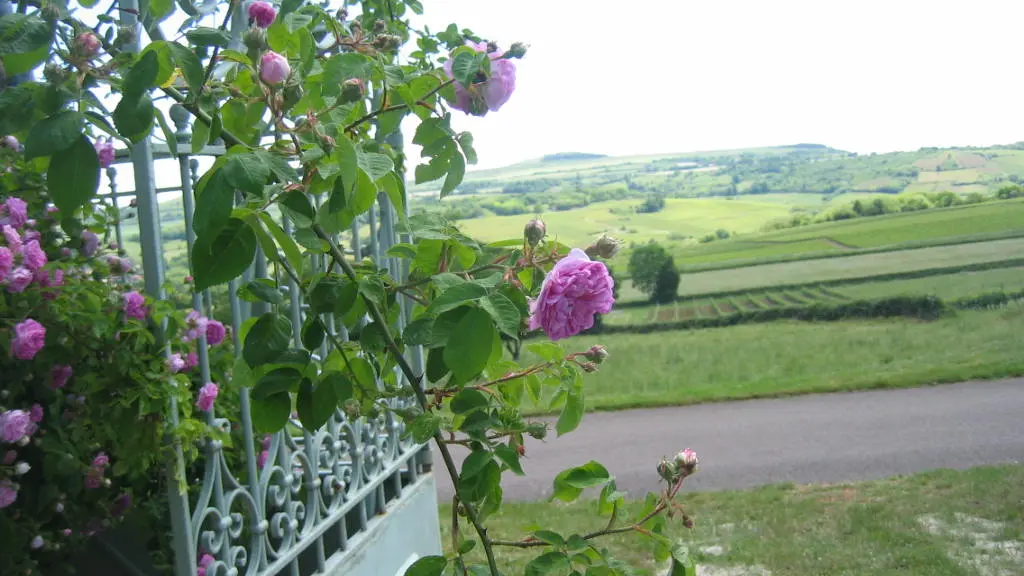 Le Pré Blanc