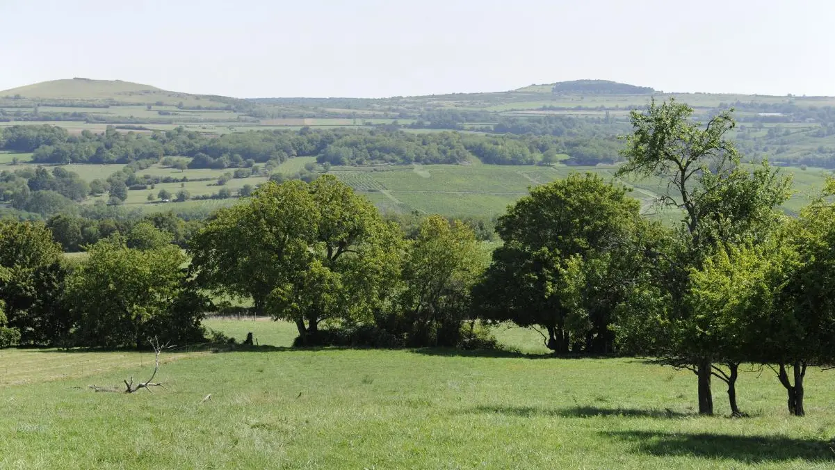 Le Pré Blanc