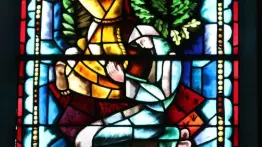 Vitrail de St François d'Assise