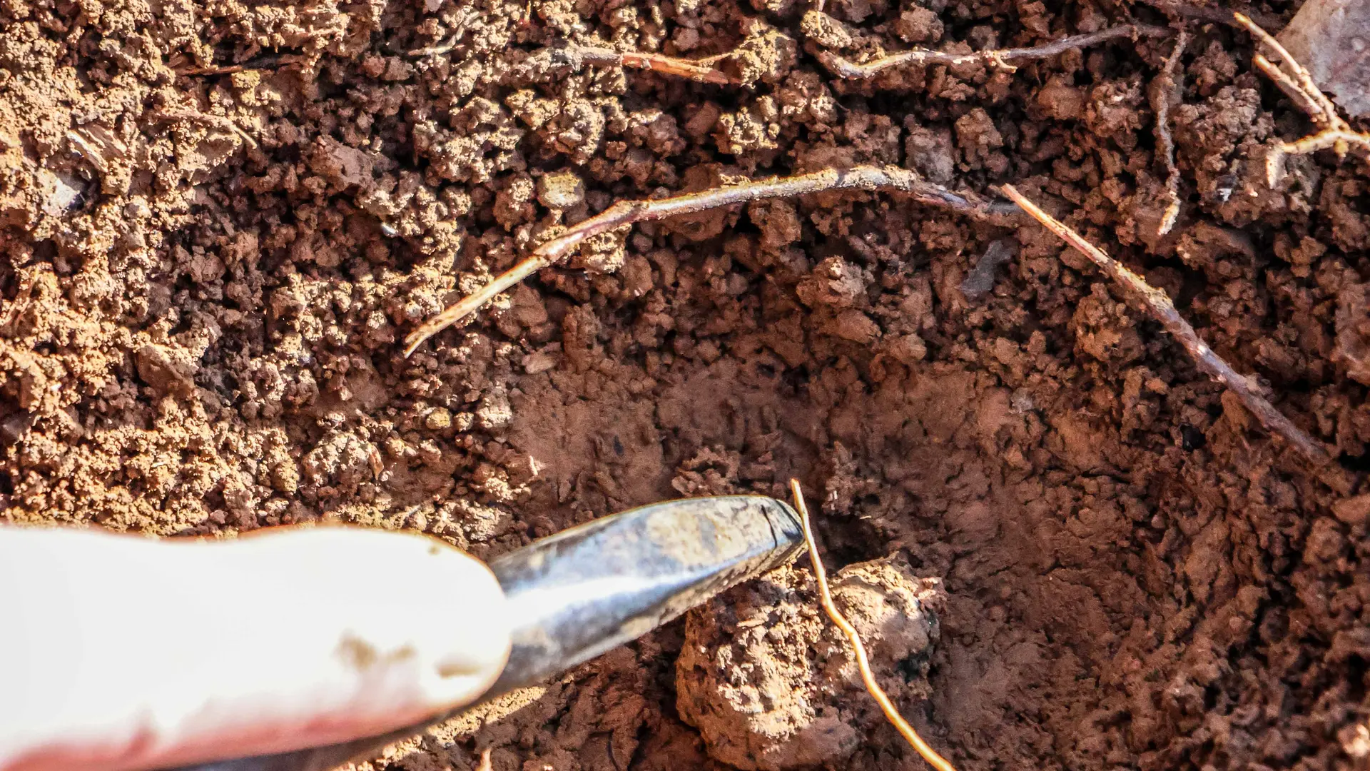 1000T_FEB25_5grammes-26 - Delphine PIERRE