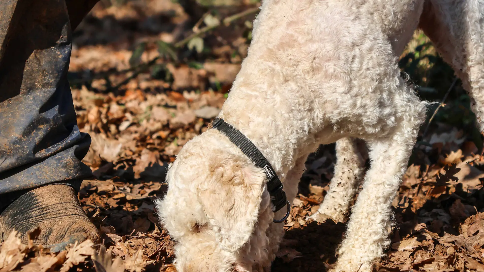 1000T_FEB25_5grammes-29 - Delphine PIERRE