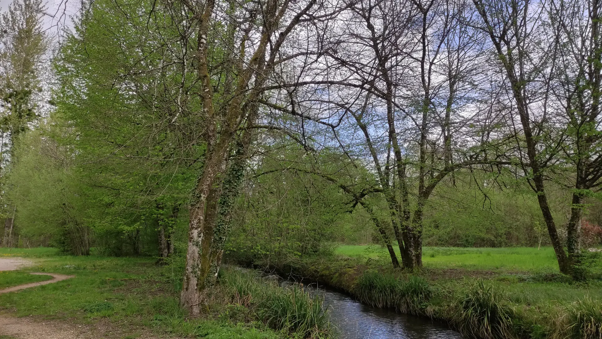 11-parc-biodiversité