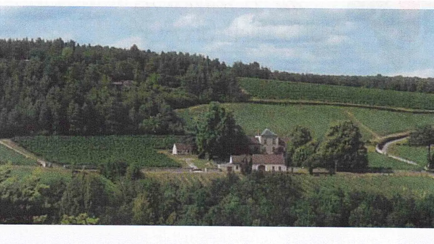 Le prieuré et son vignoble