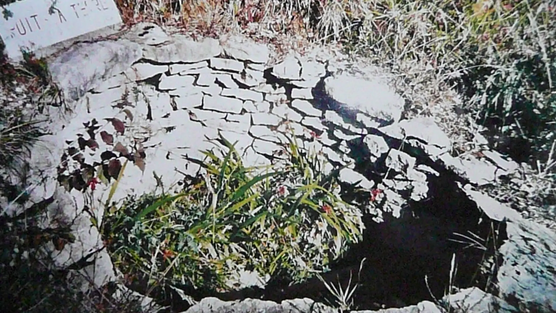 puits à terre dans le vignoble du prieuré d'Arcenant