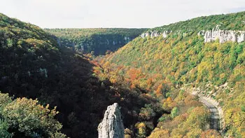Combe Lavaux à Gevrey-Chambertin