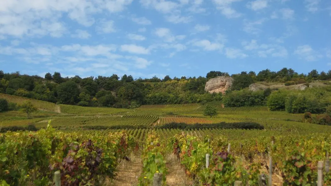 Le Pressoir