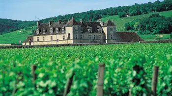 Château du Clos de Vougeot