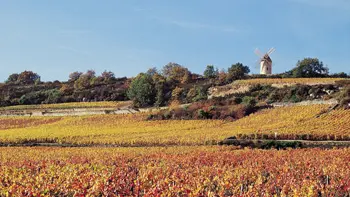 Moulin Sorine à Santenay