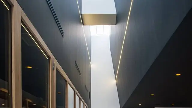 14650643_1237533256268150_8755006276517964702_n
