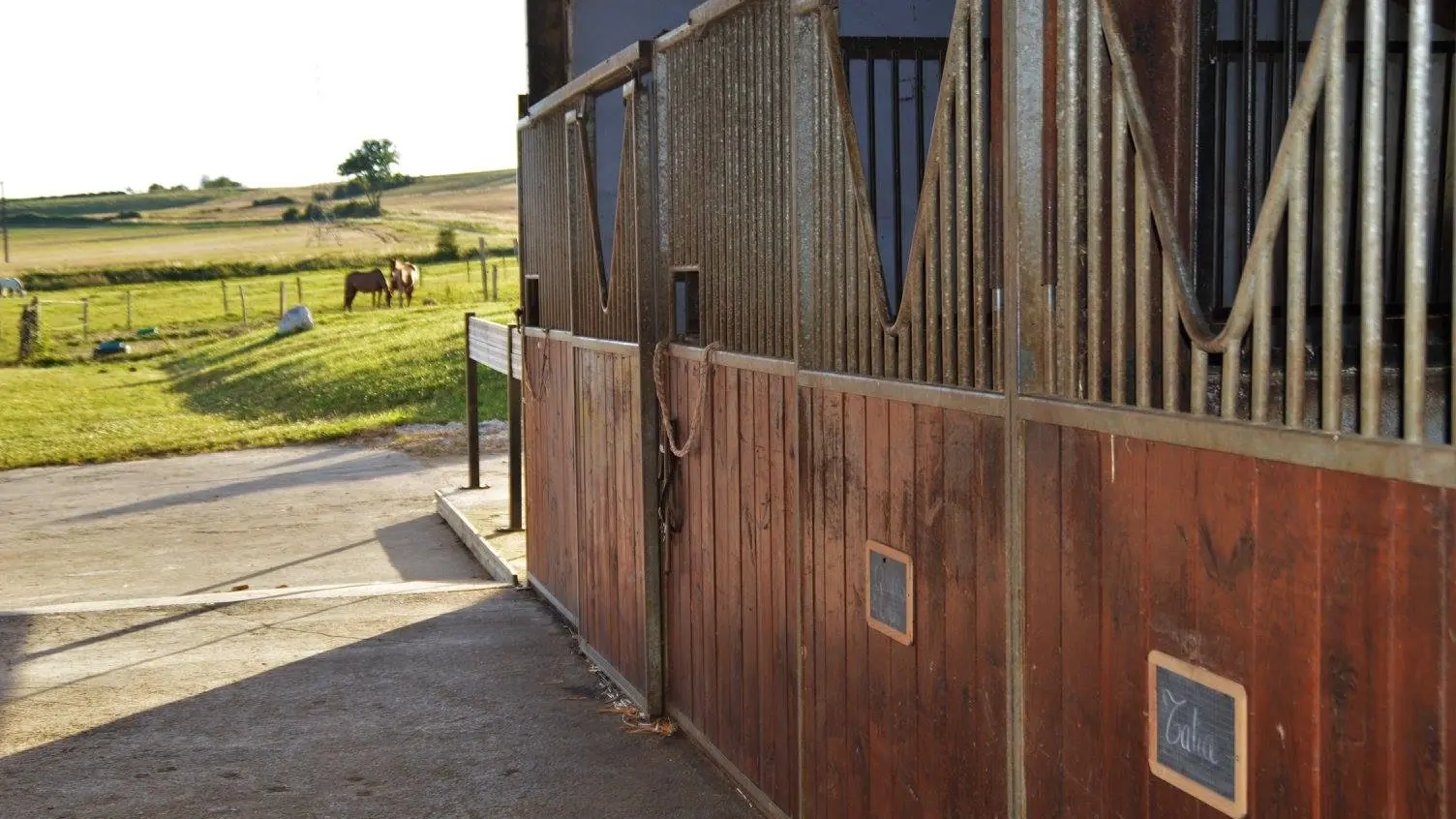 Haras du Val des Charmes