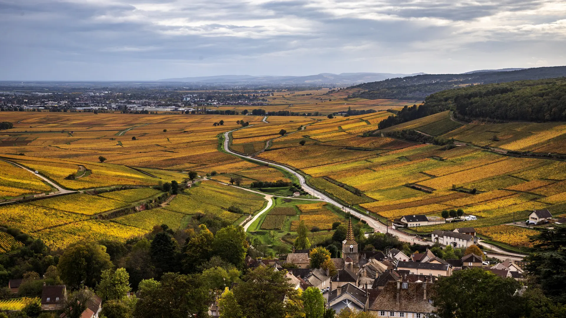 Côte de Beaune