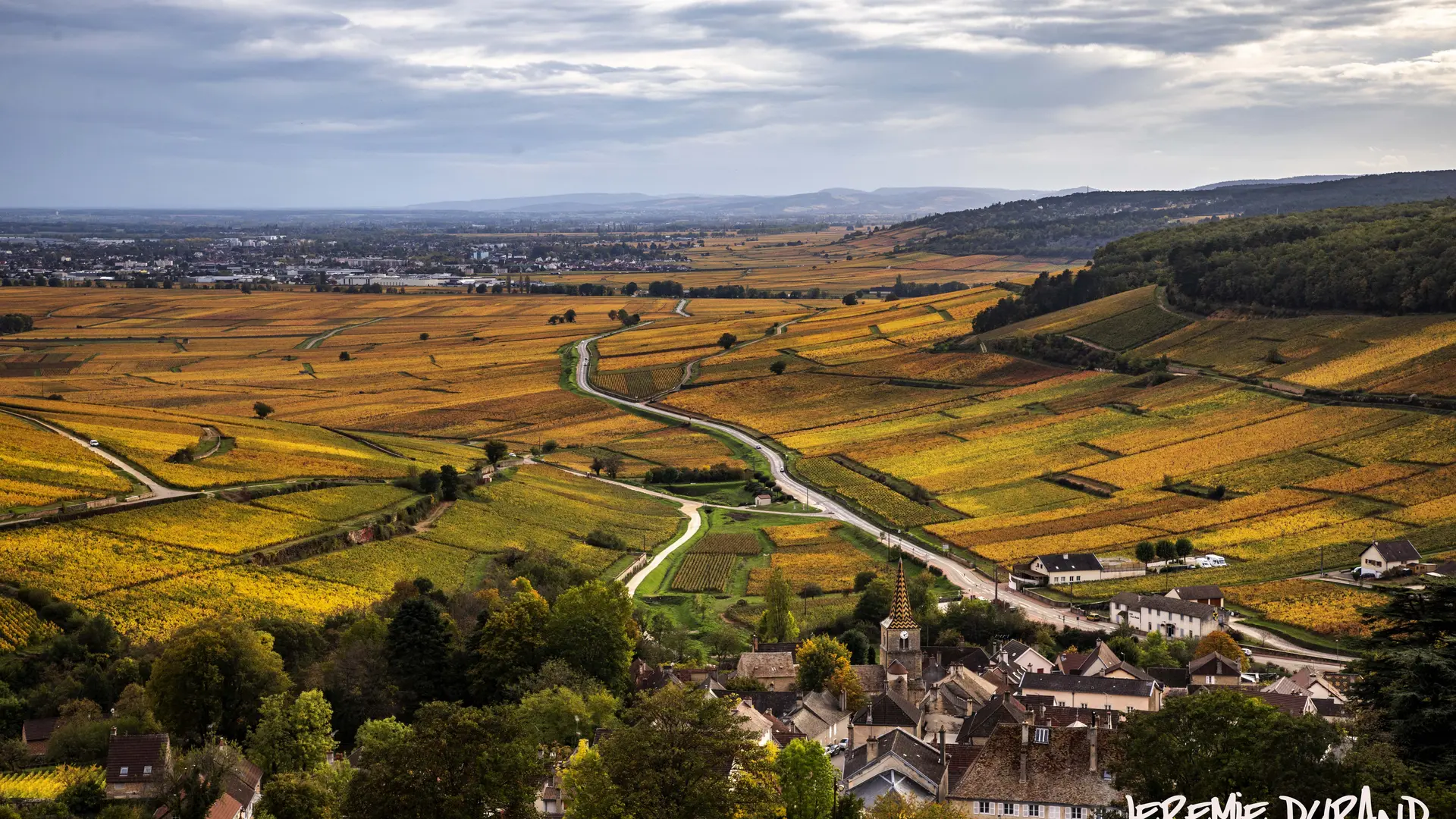 Vignoble bourgignon