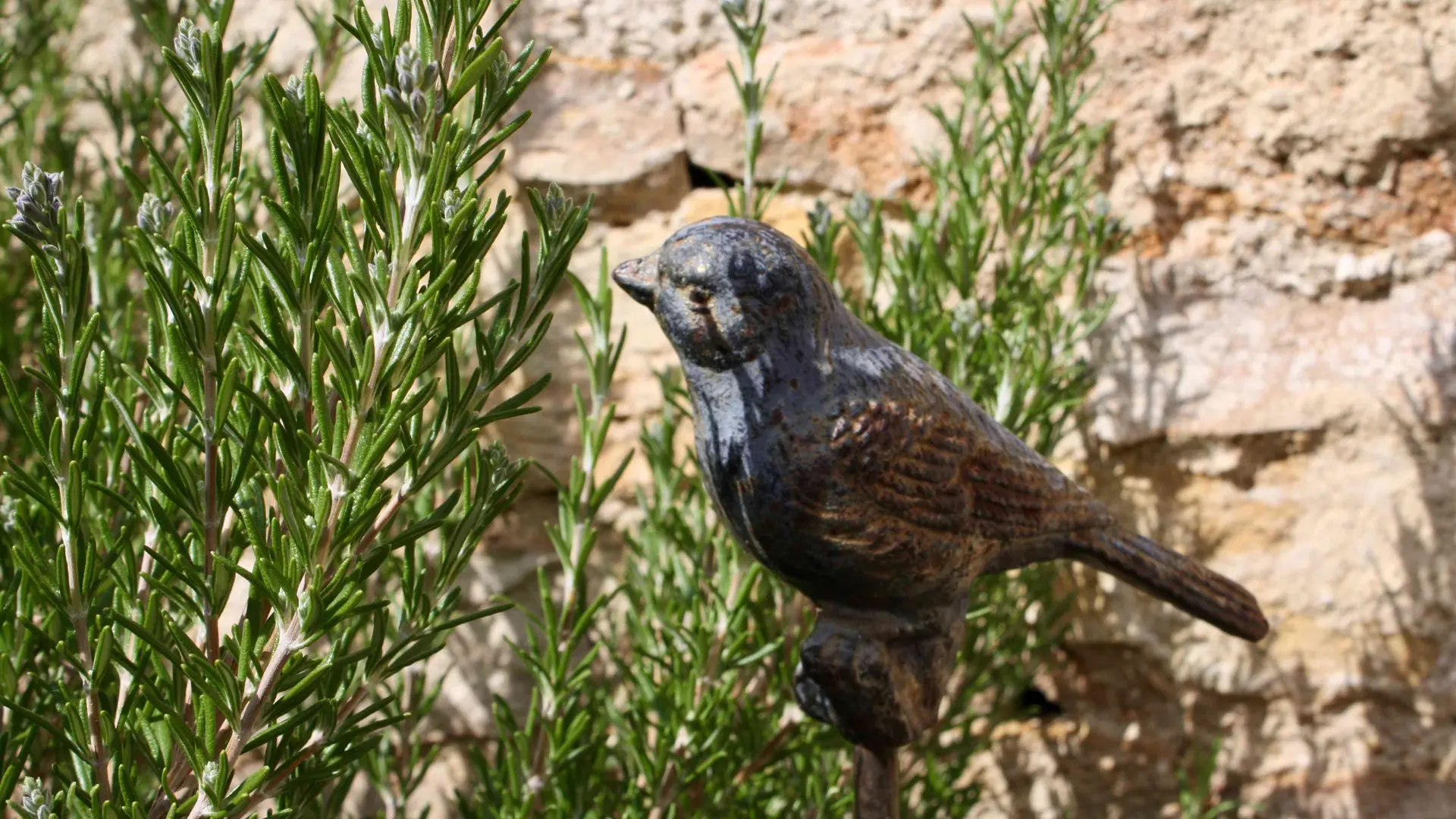 Le jardin du 14 Faubourg