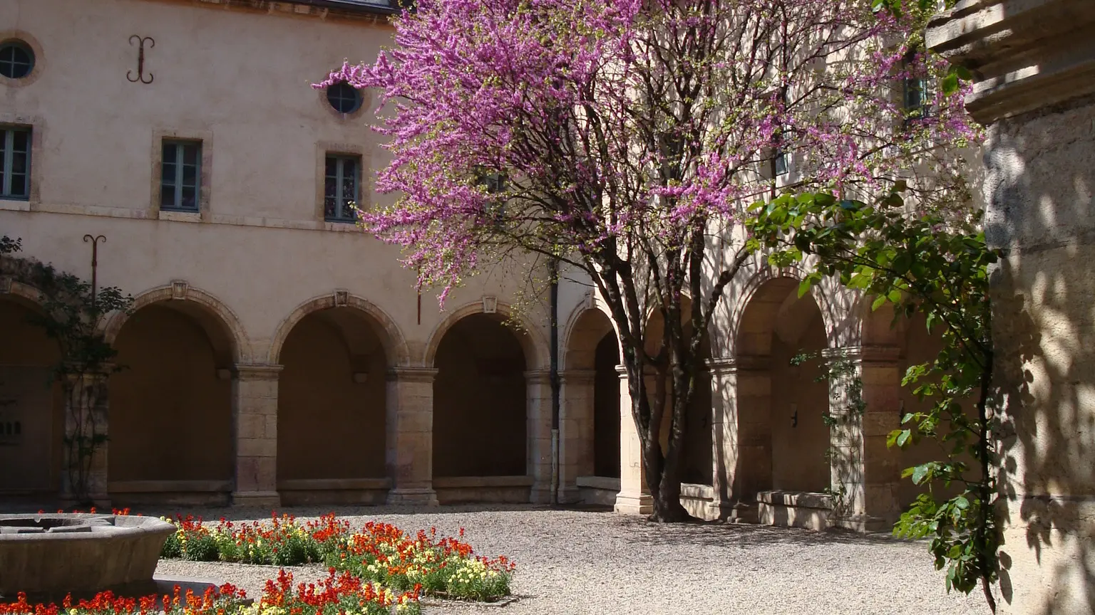 Cloître des Bernardines