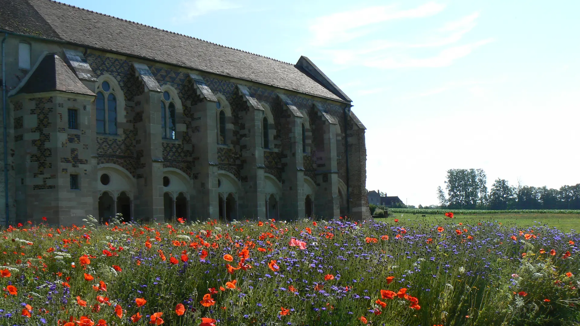 Bibliothèque XVIe, façade sud