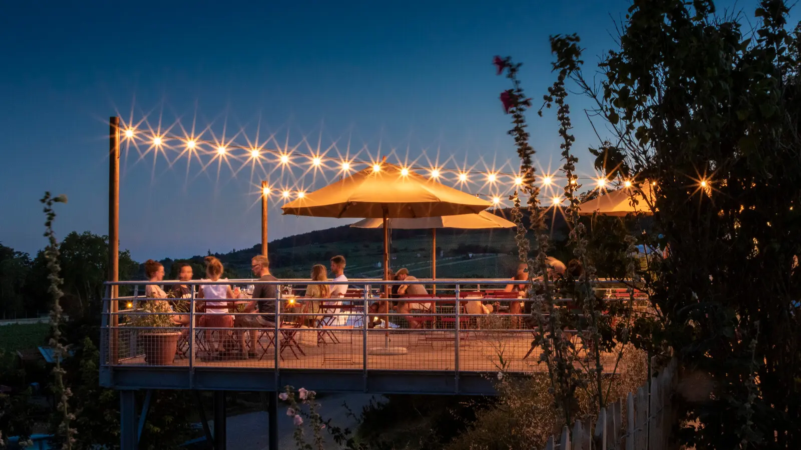 Terrasse du Café-Comptoir surplombant les vignes