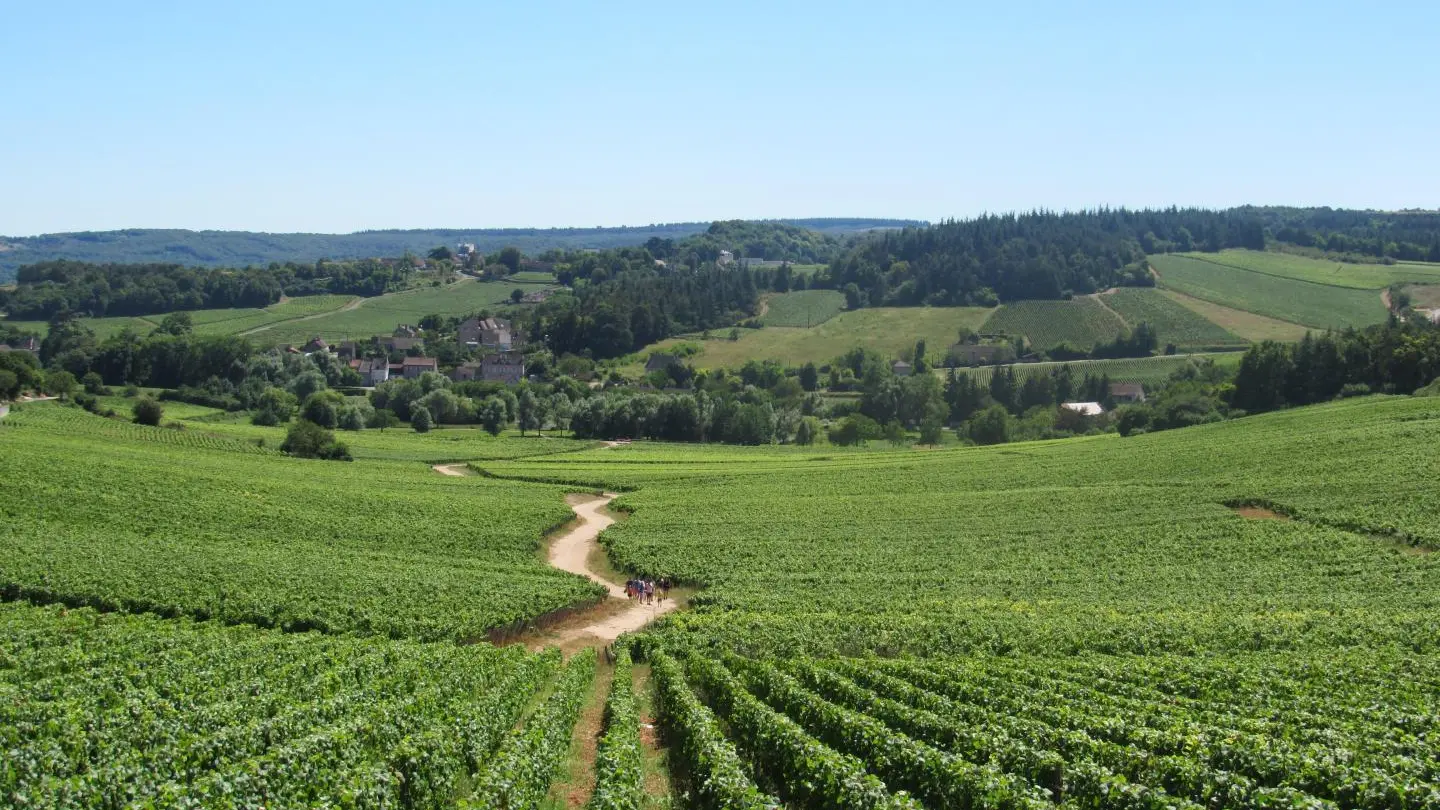 Les Arondelles