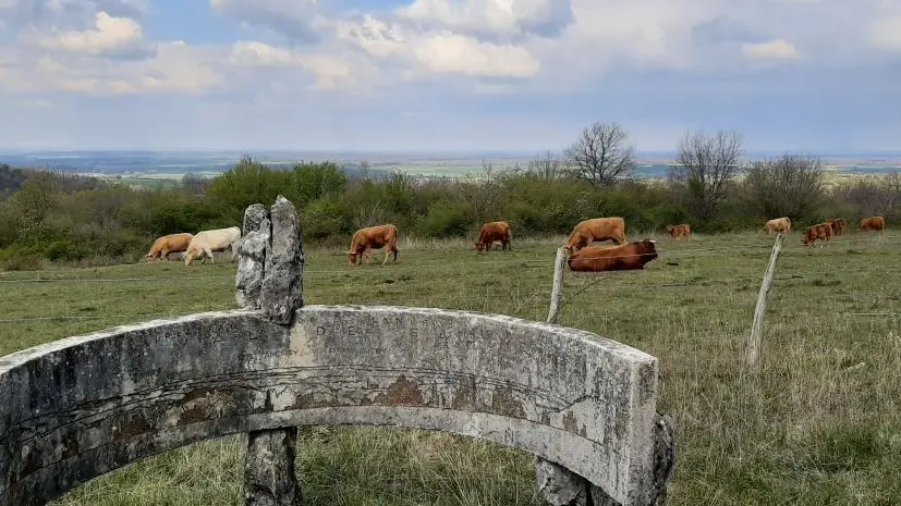 Pelouses sèches près de la table d'orientation