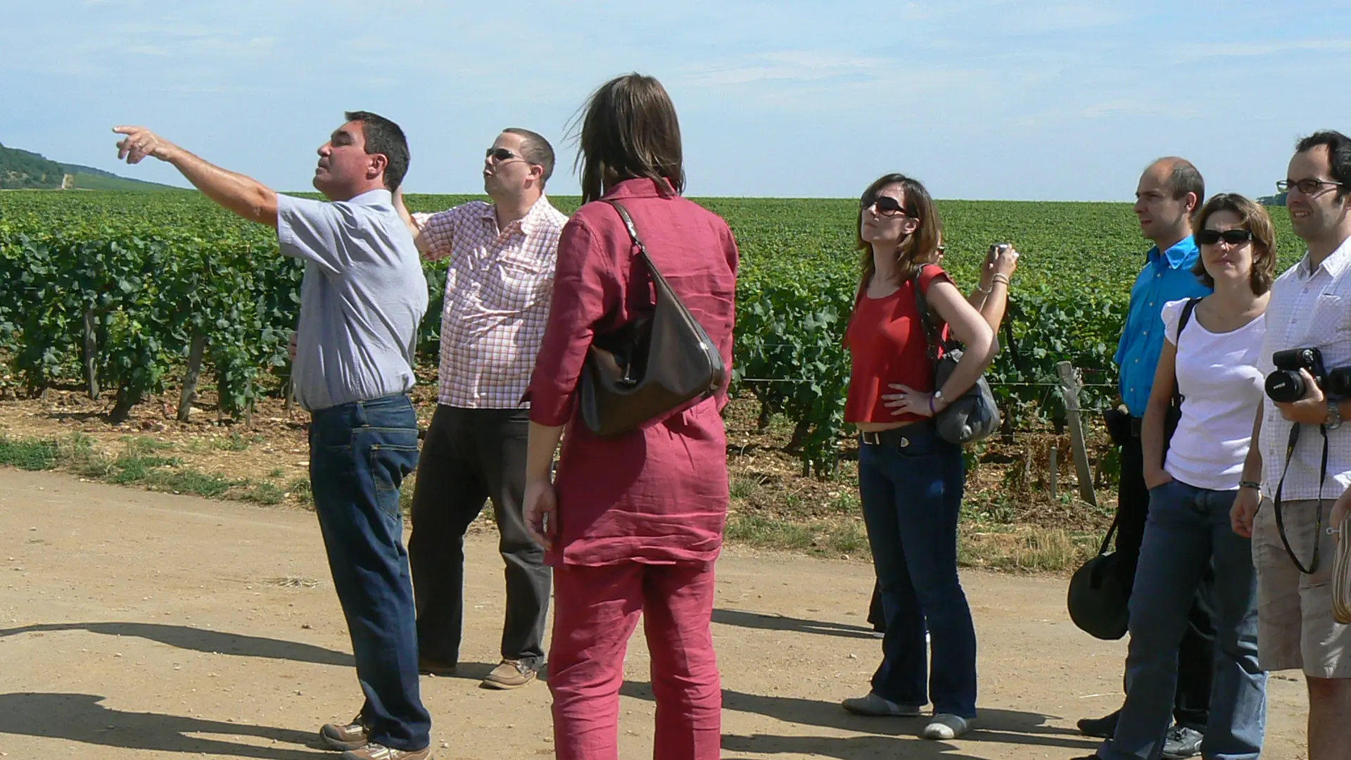 excursion dans le vignoble