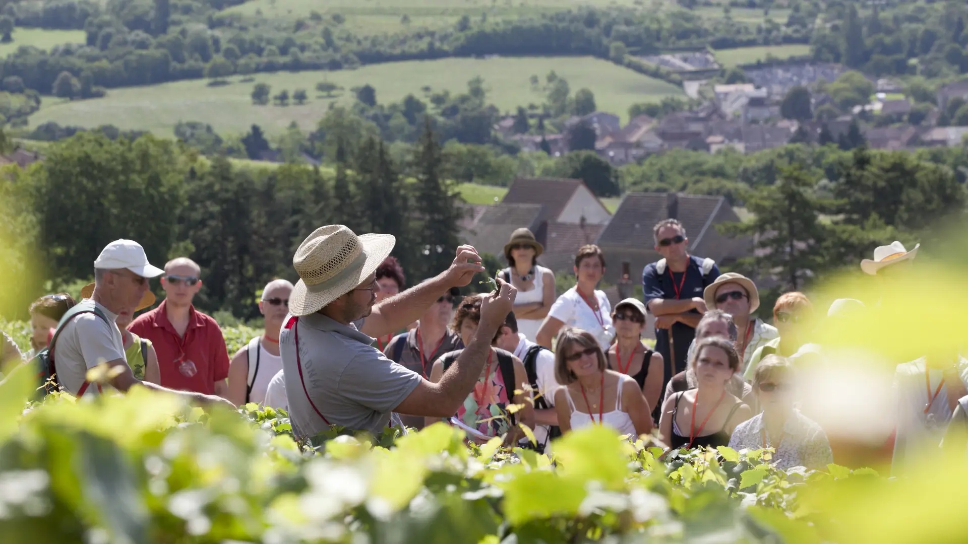 OeNolay Tour avec Nicolas Monnot