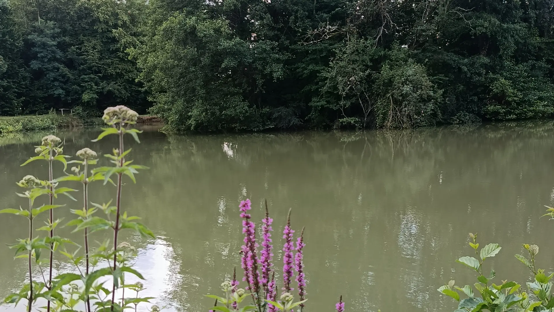 étang pour les pecheurs
