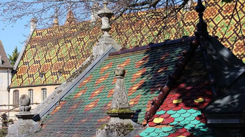 toits de l'hôtel Dieu