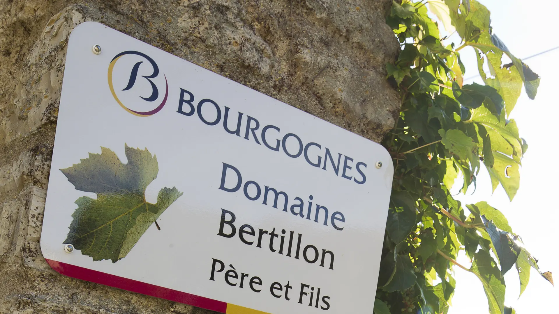 Domaine Bertillon Père et Fils