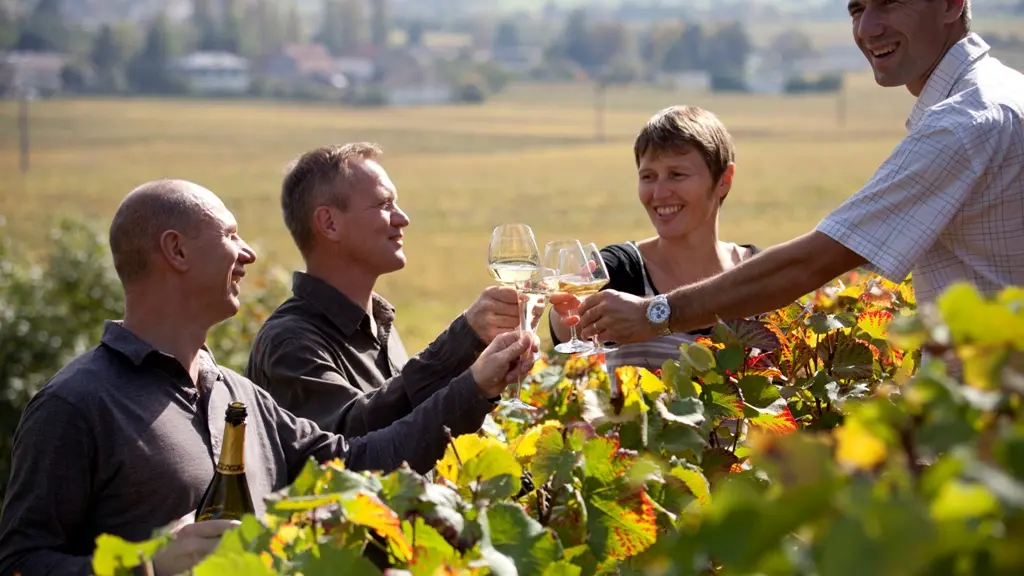 Ecole des Vins de Bourgogne balade