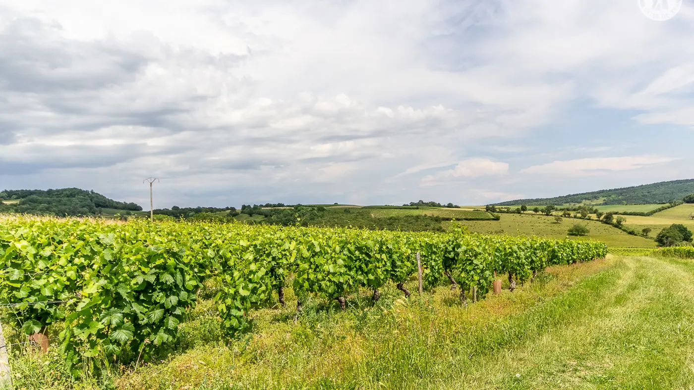 Maison du Four Bassot