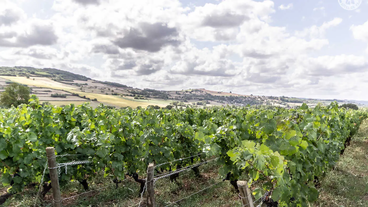 Chez les Vendangeurs