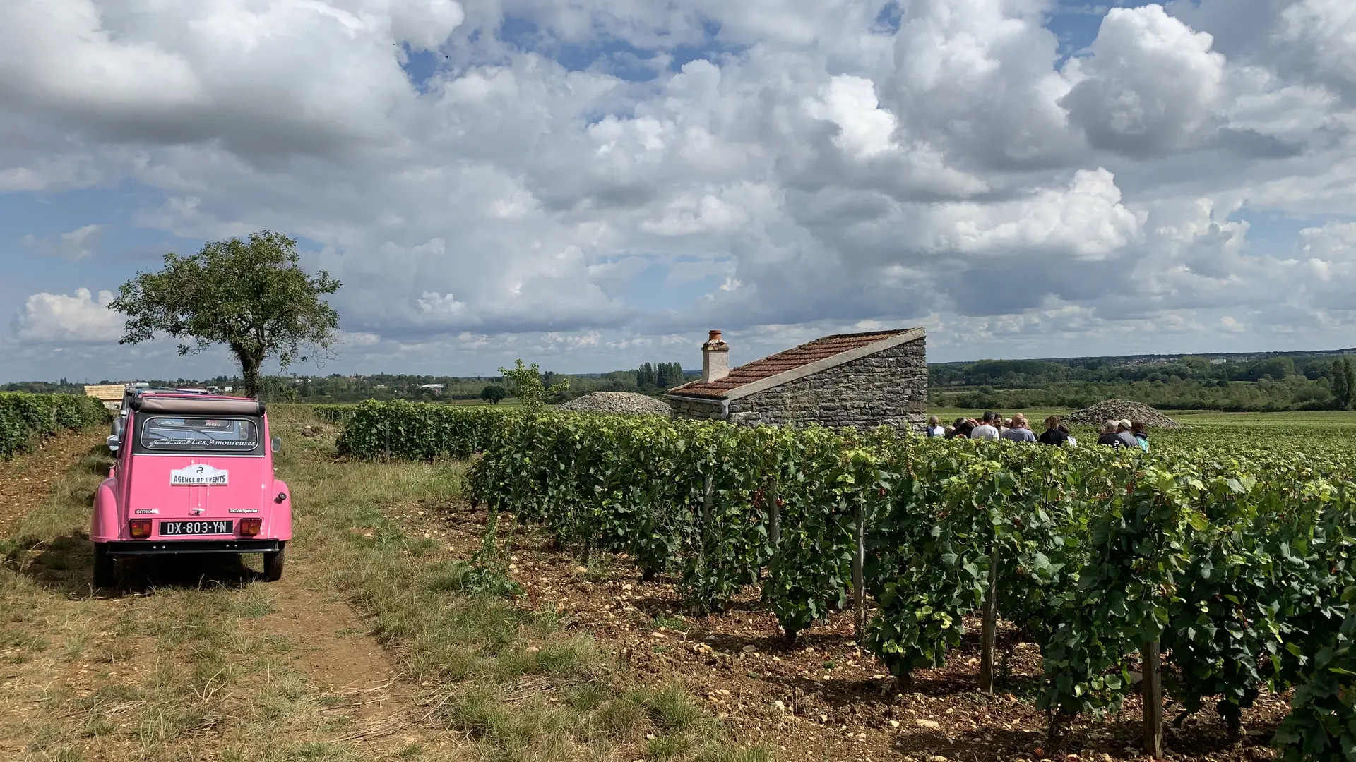 Découverte