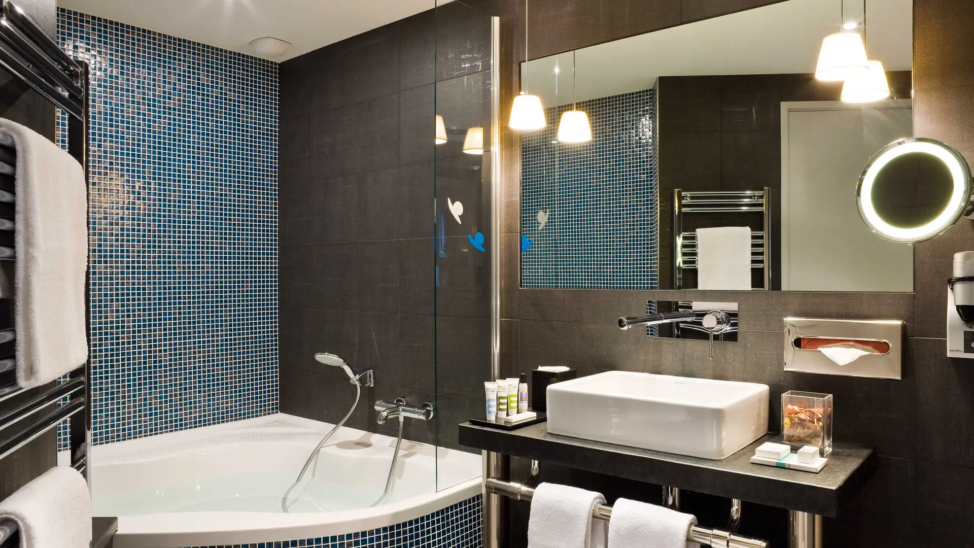 Salle de Bains Suite Privilège