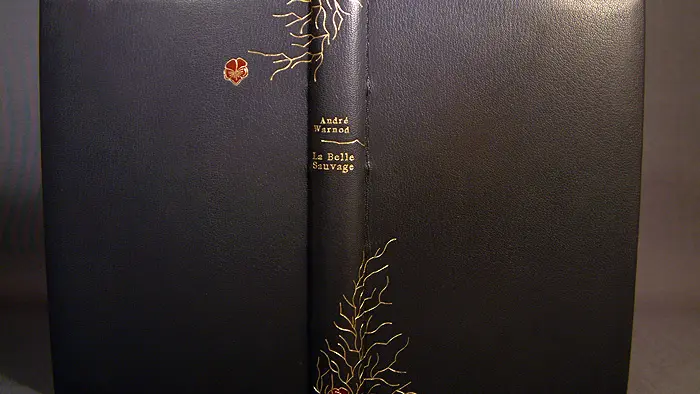 20 plein chagrin poli