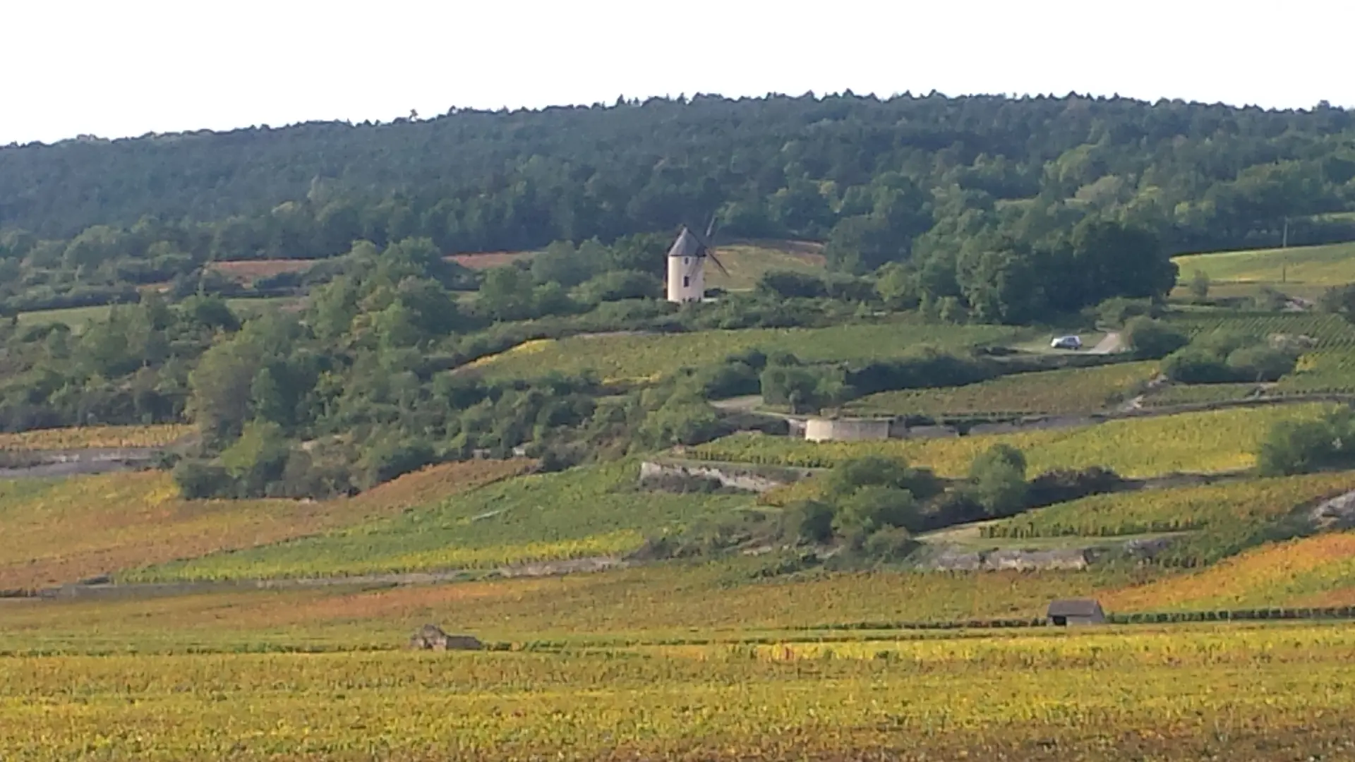La côte d'or