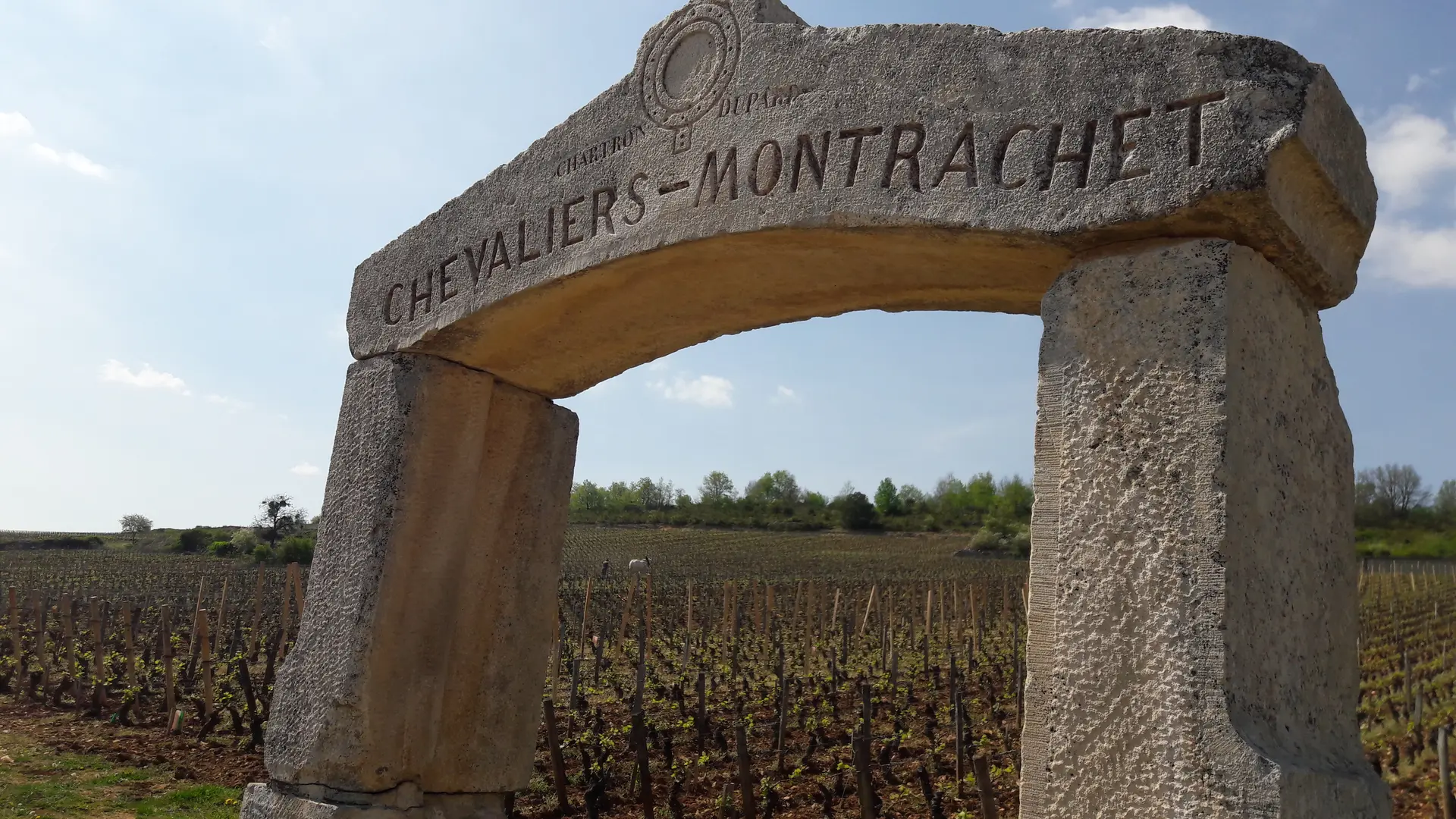 Grand Crus Chevalier Bâtard Montrachet