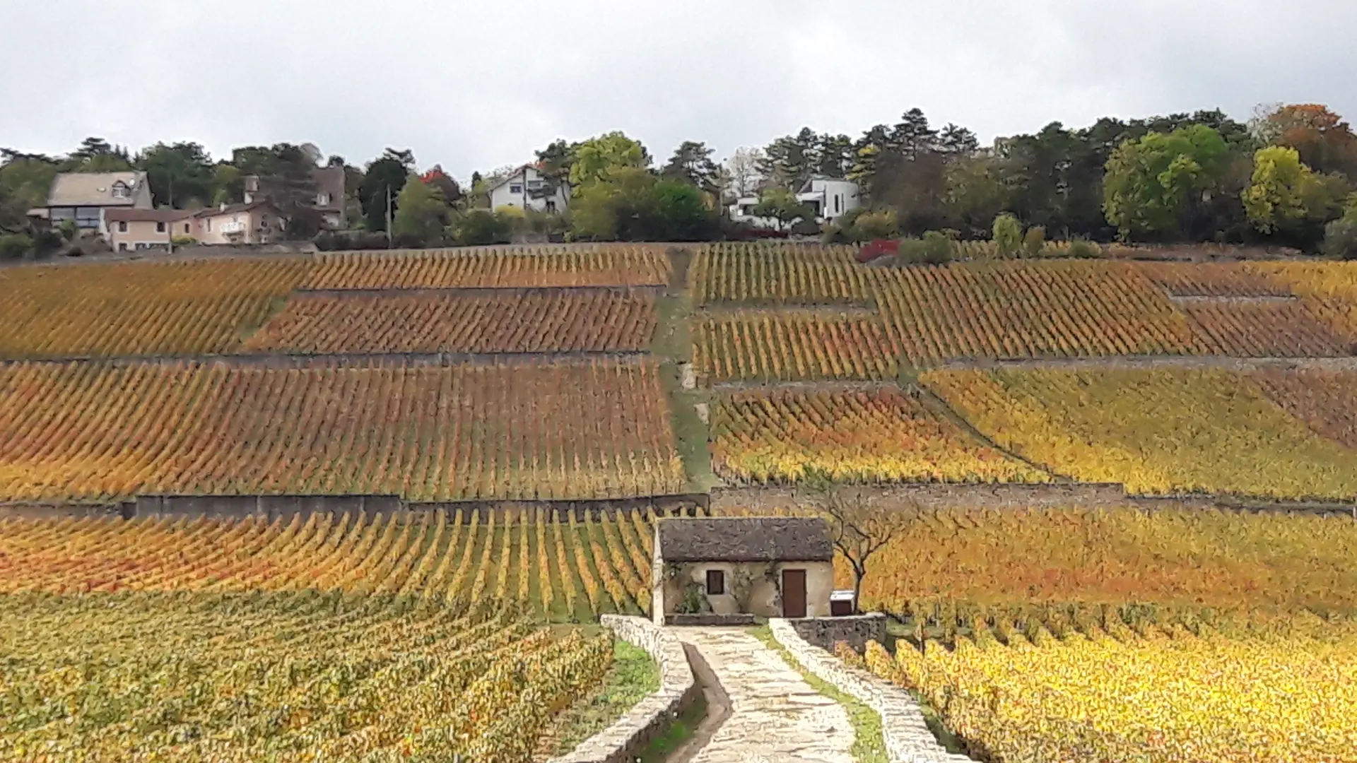 DEPART DE BEAUNE