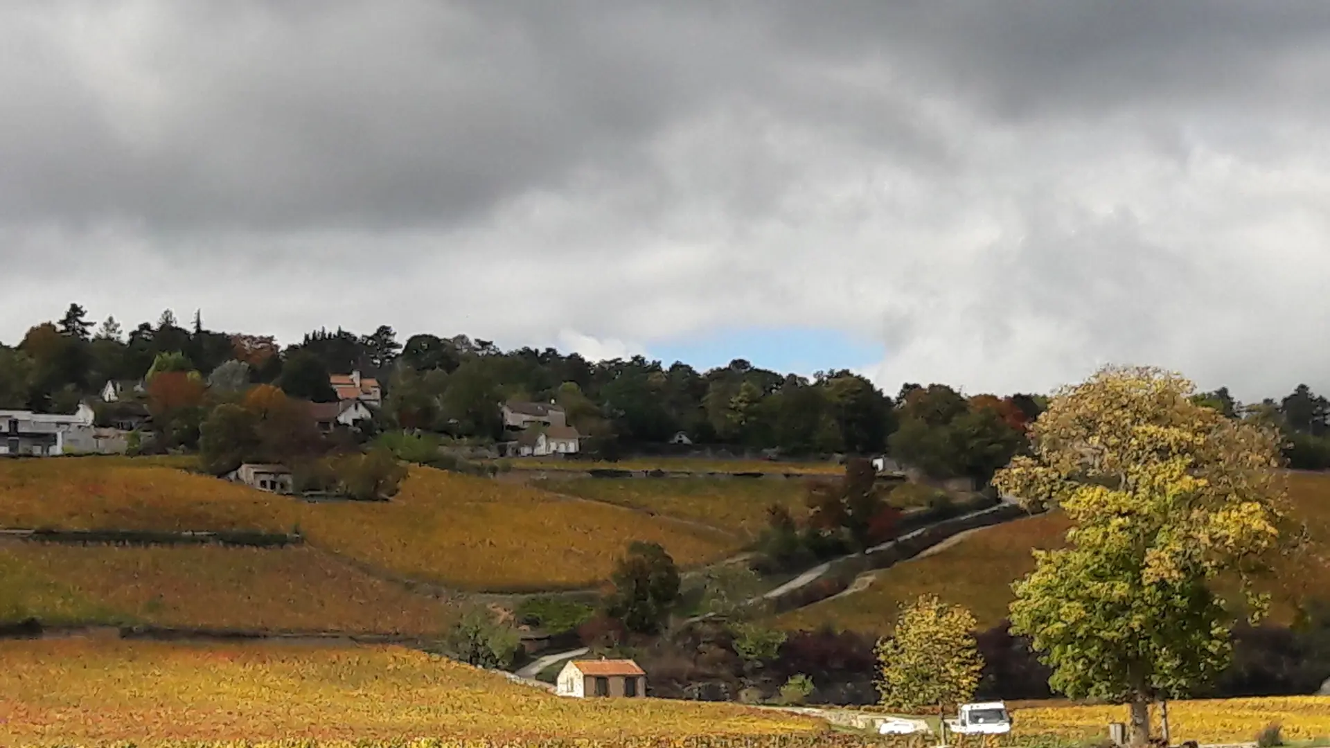 La Terre d'Or, au dessus des vignes, en automne.