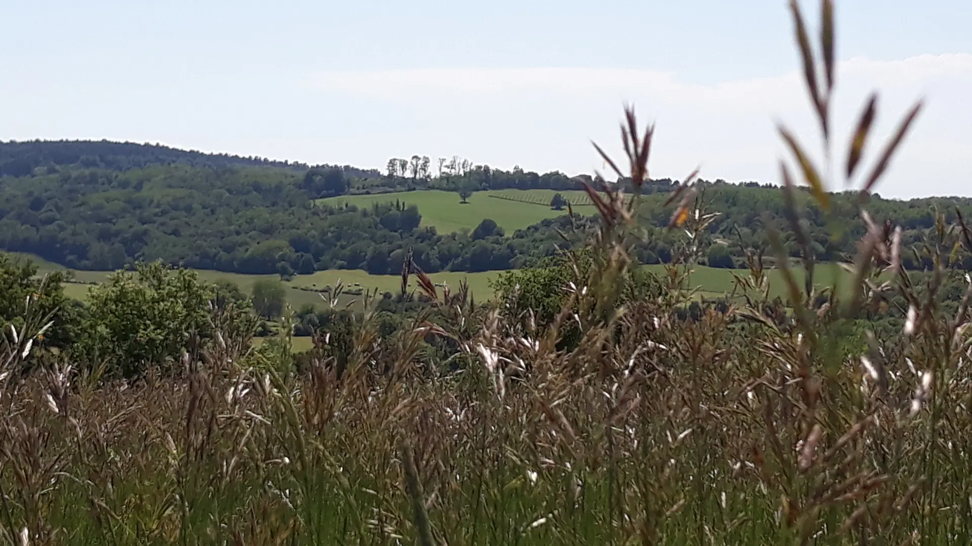 Prairies et monts