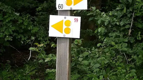 Intersection 2 circuits