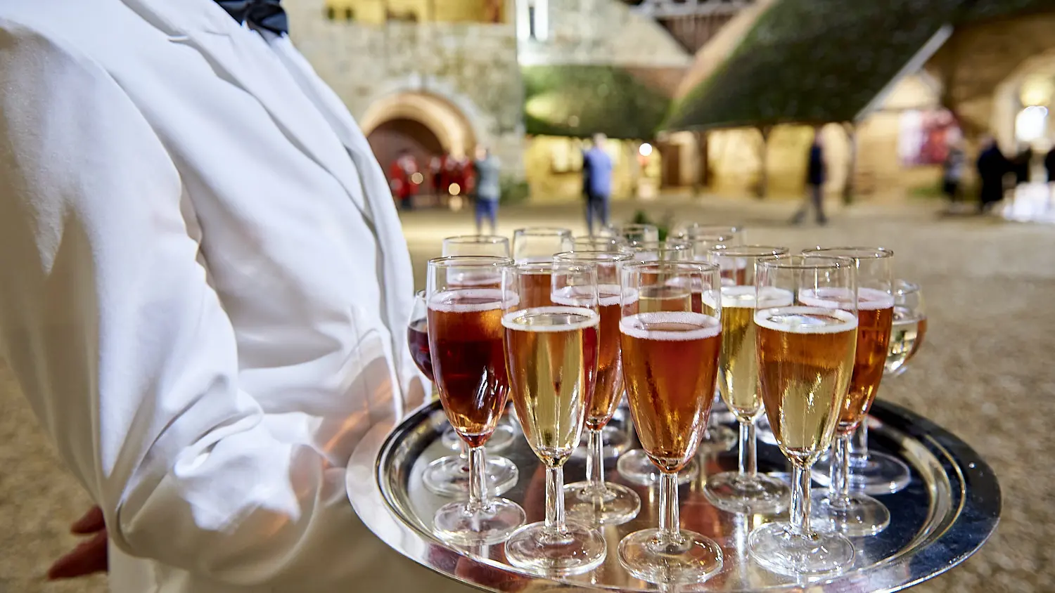 Apéritif au Château du Clos de Vougeot