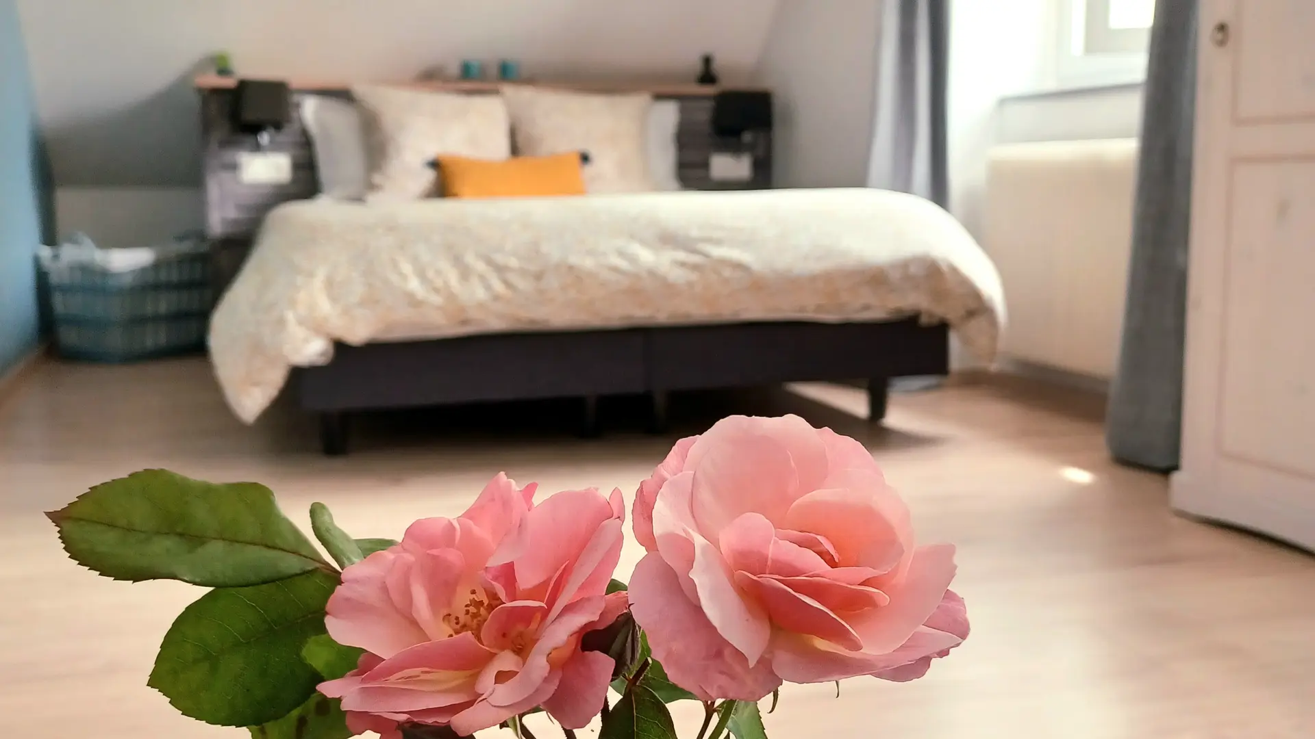 Les Plumes Marguerite