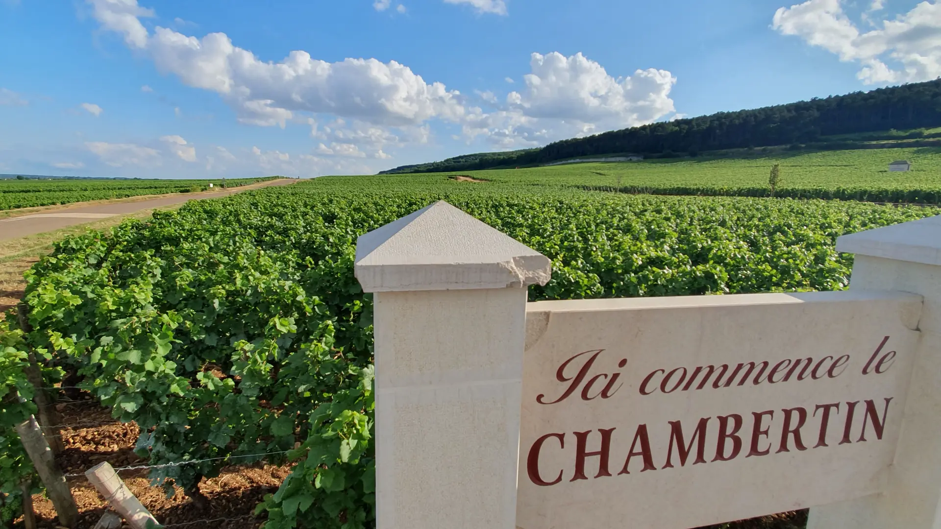 Chambertin