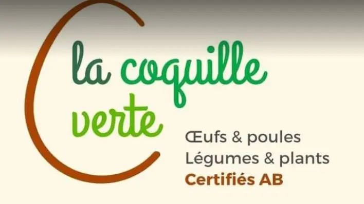 20240131_COQUILLE VERTE 0