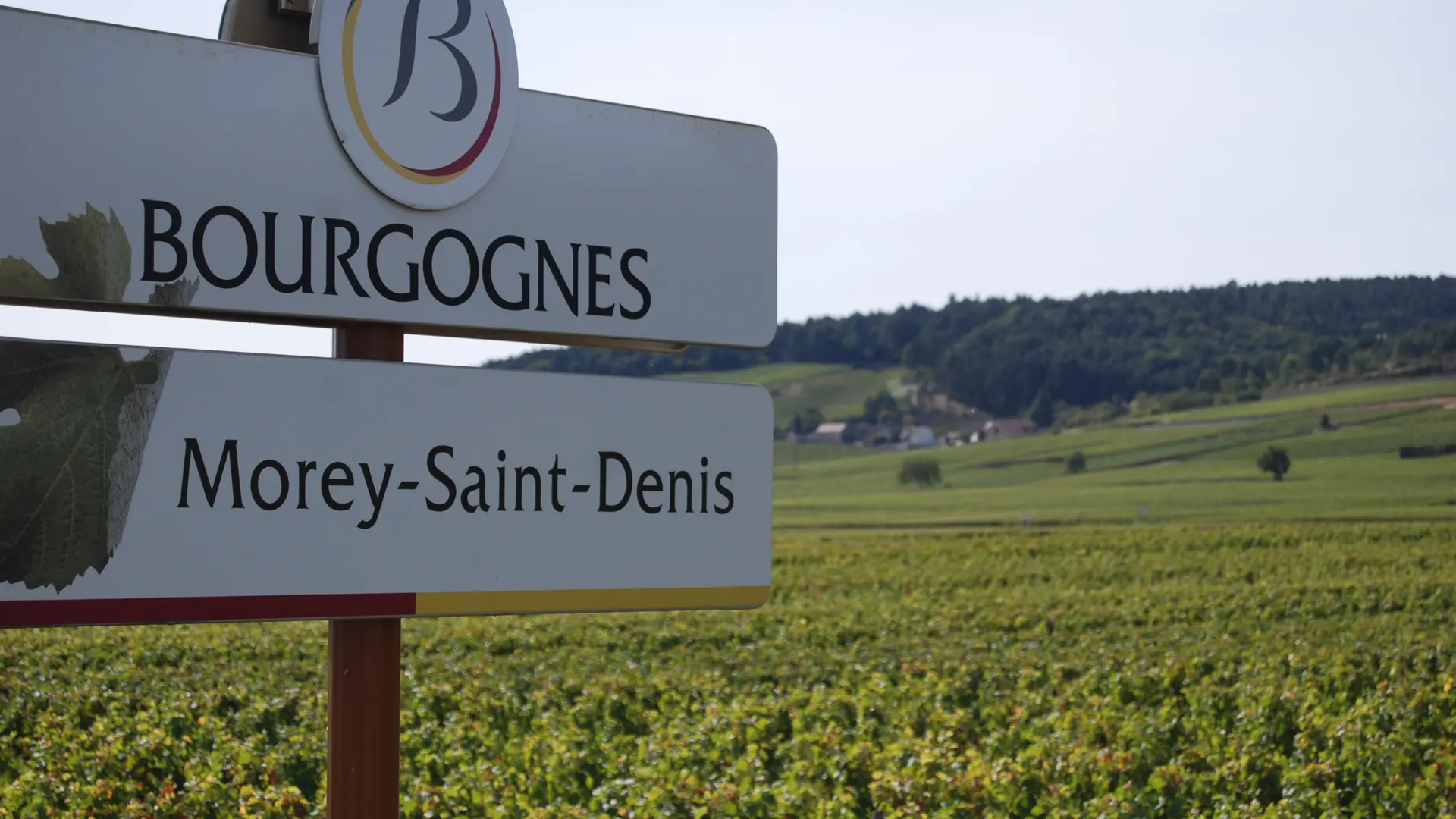Côte de Nuits